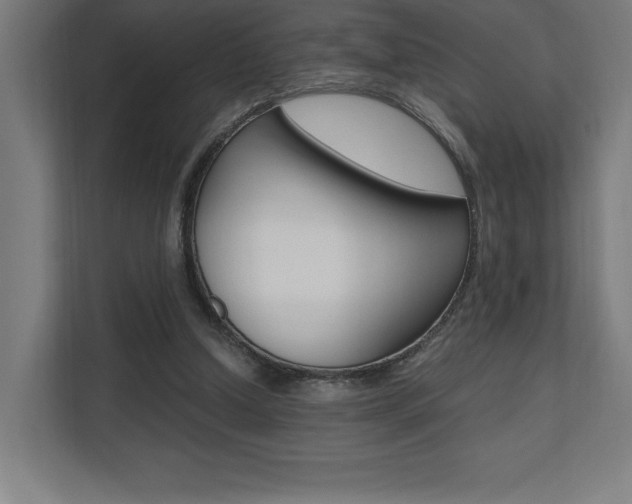 X0000110710250200906121101