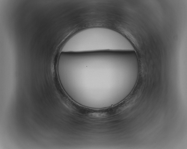 X0000110710251200906121101