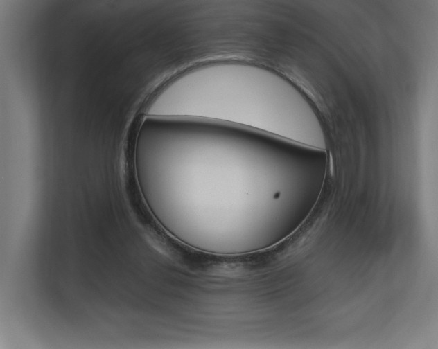 X0000110710252200906121101
