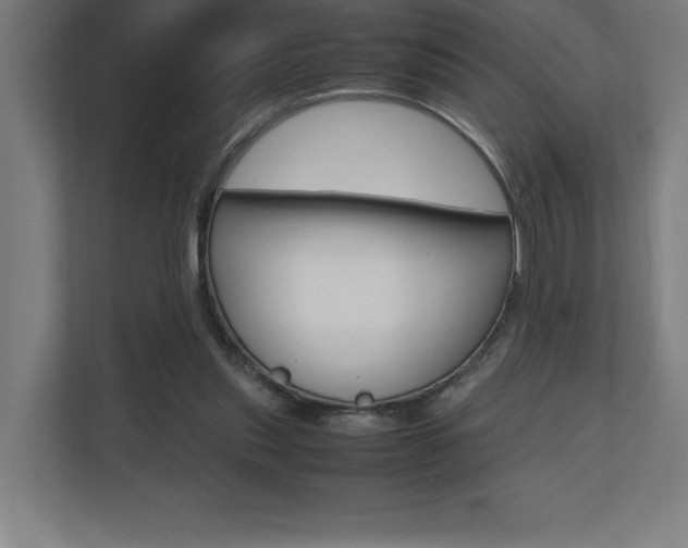 X0000110710253200906121101