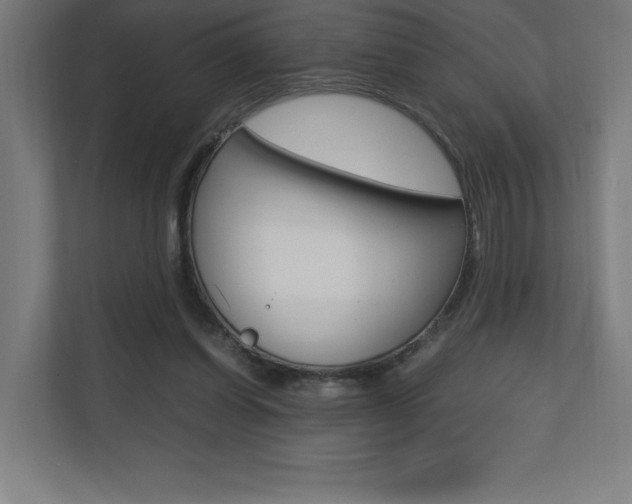 X0000110710254200906121101