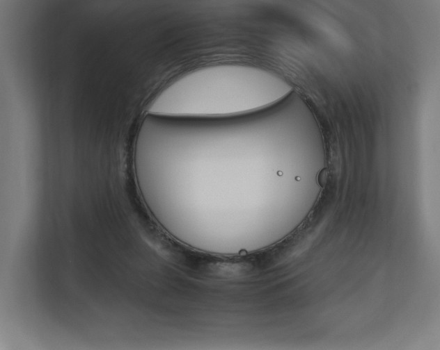 X0000110710255200906121101