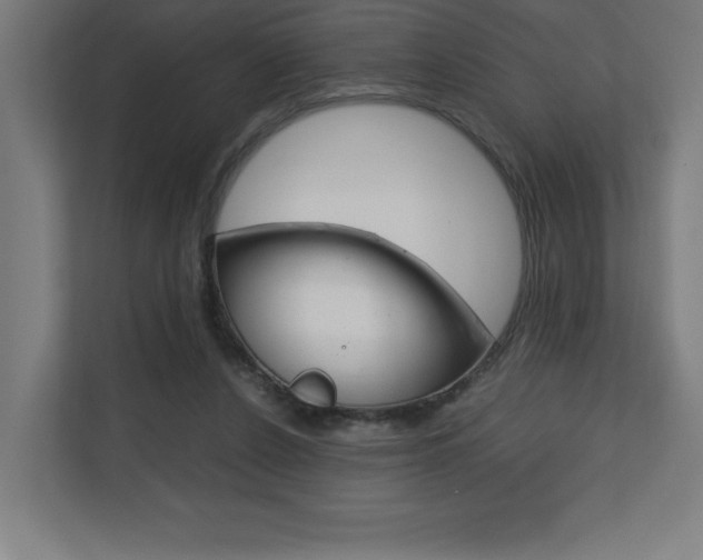 X0000110710256200906121101