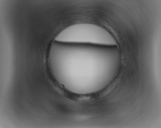 X0000110710257200906121101