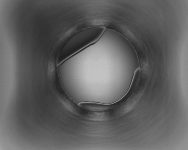 X0000110710260200906121102