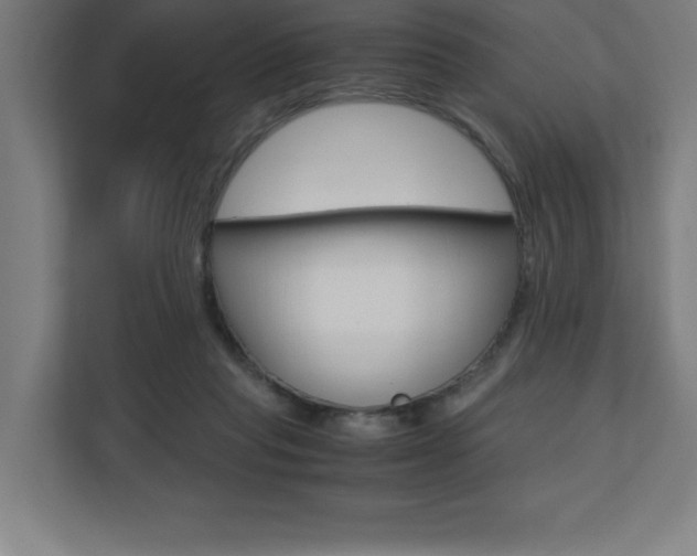 X0000110710261200906121102