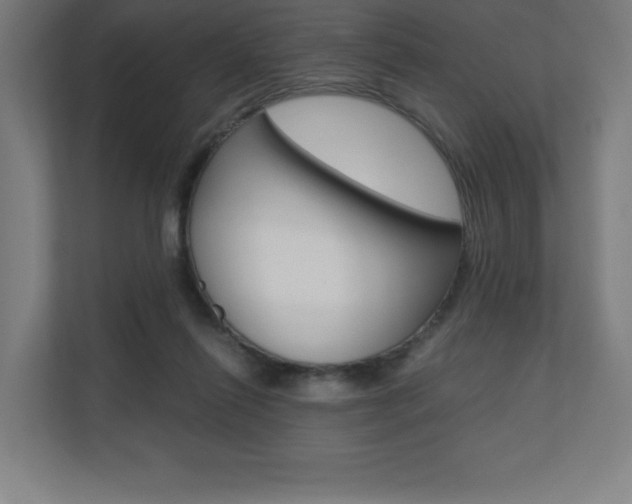 X0000110710262200906121102
