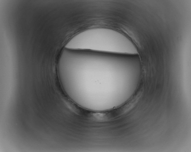 X0000110710265200906121102