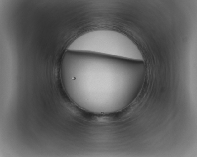 X0000110710268200906121102