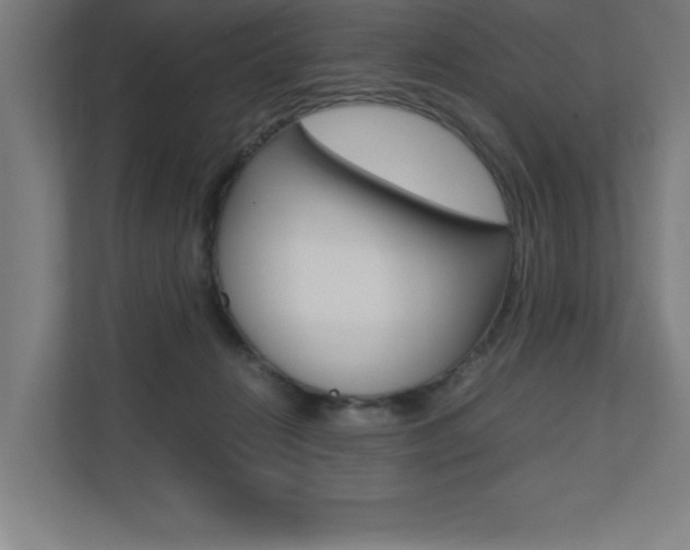 X0000110710270200906121102