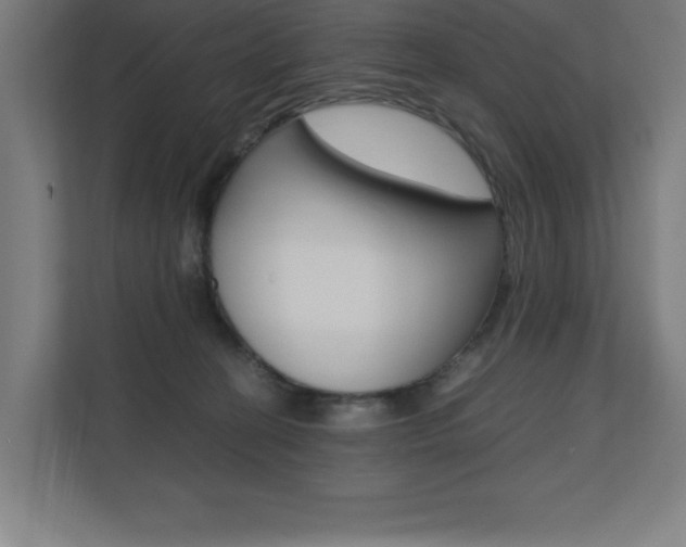 X0000110710274200906121102