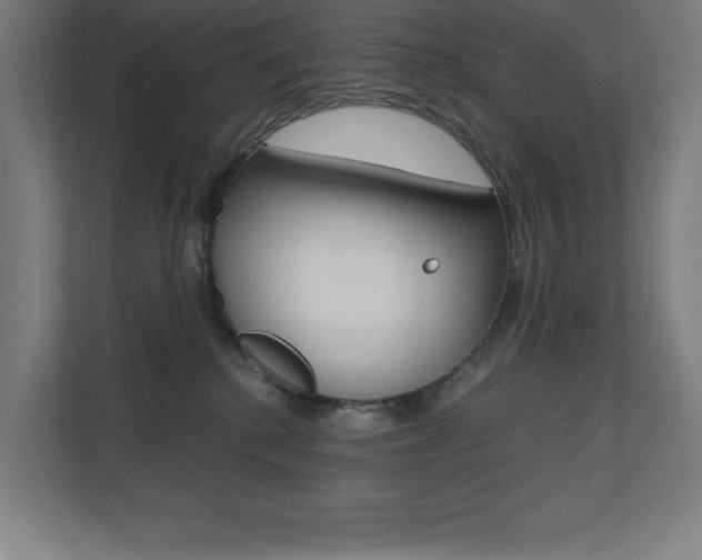 X0000110710280200906121102