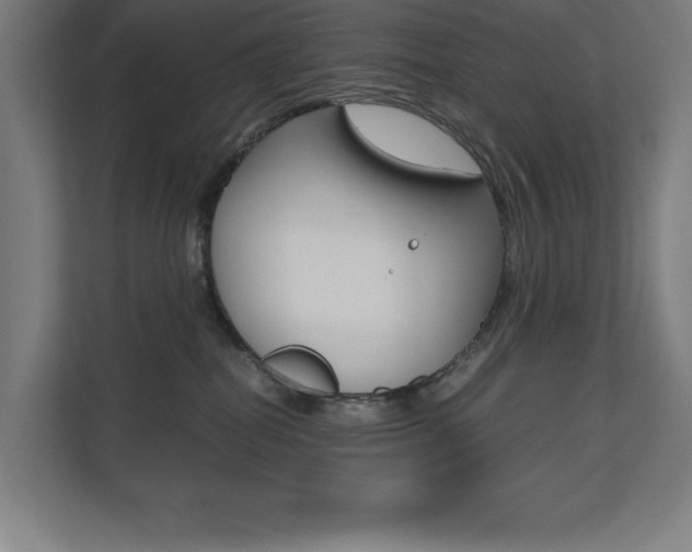 X0000110710282200906121102