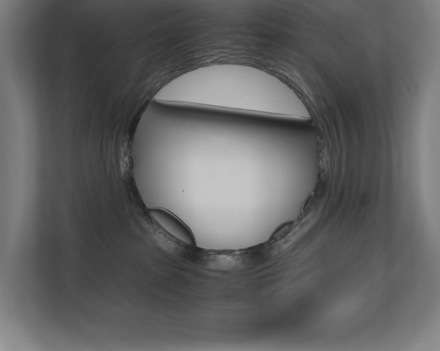X0000110710285200906121102