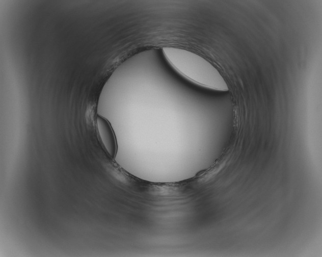 X0000110710286200906121102