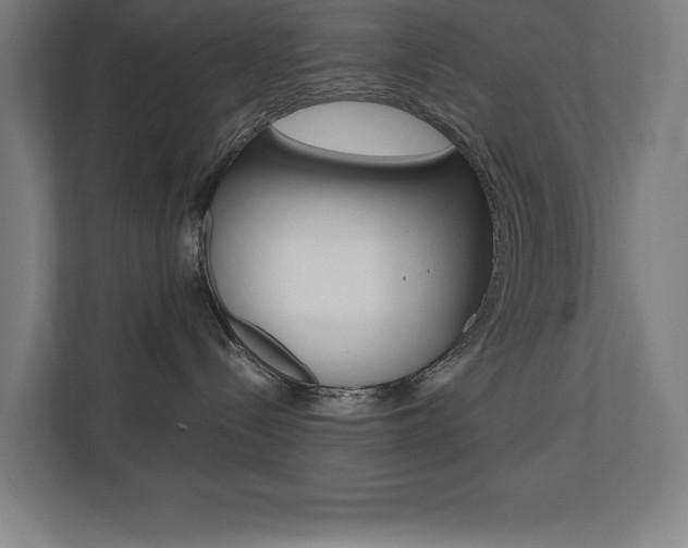 X0000110710288200906121102