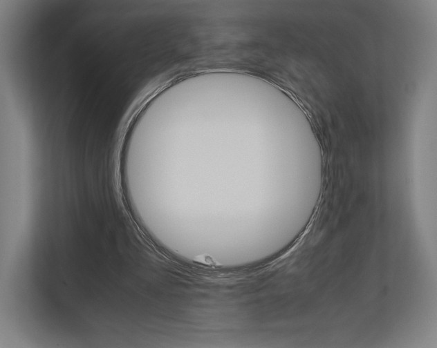X0000110710293200906121101