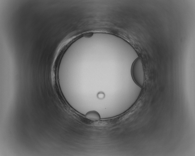 X0000110710294200906121101