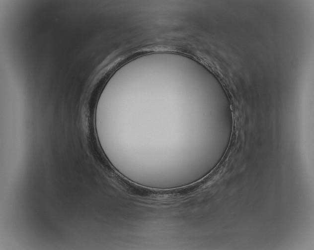 X0000110710295200906121101