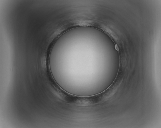 X0000110710299200906121101