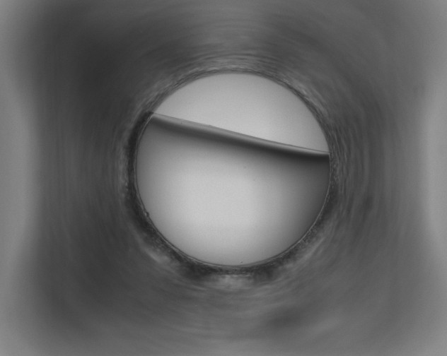 X0000110710303200906121101