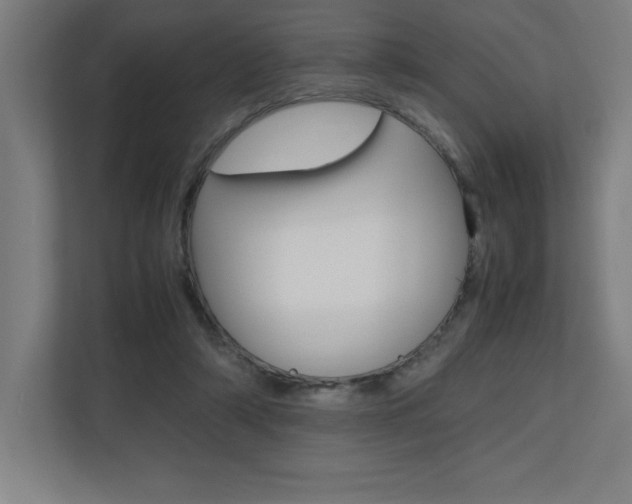 X0000110710306200906121101