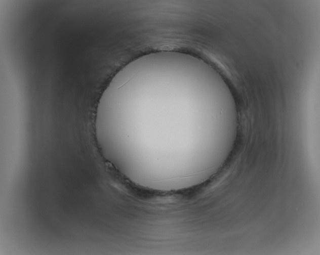 X0000110710307200906121101