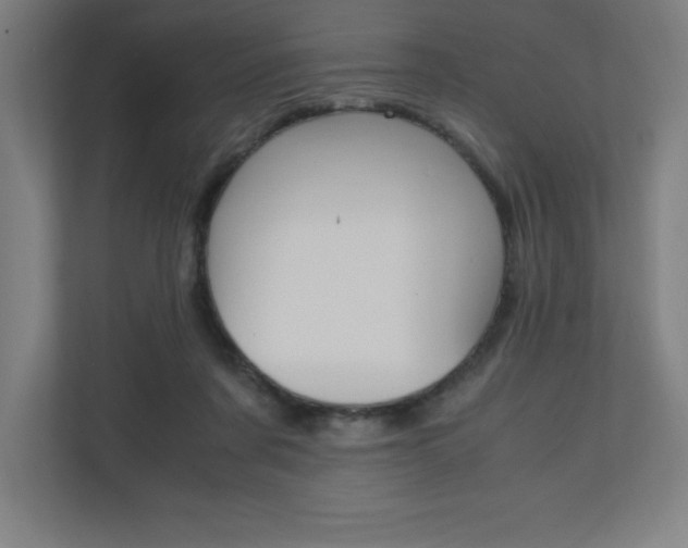 X0000110710311200906121101