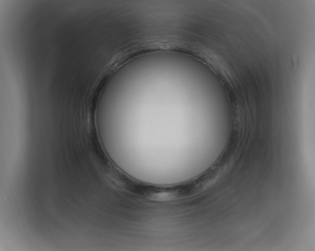 X0000110710312200906121101
