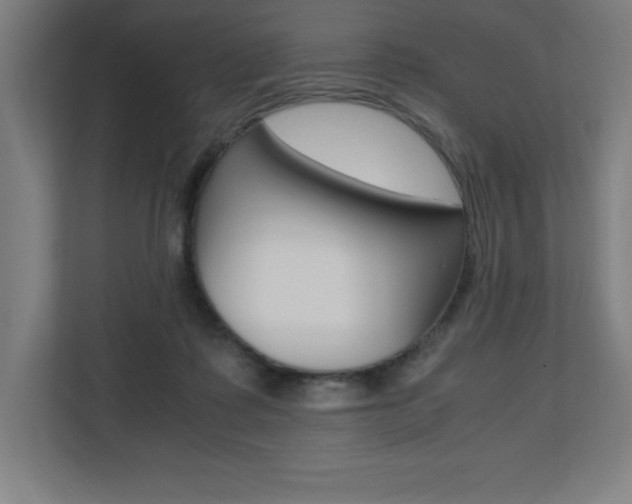 X0000110710315200906121101