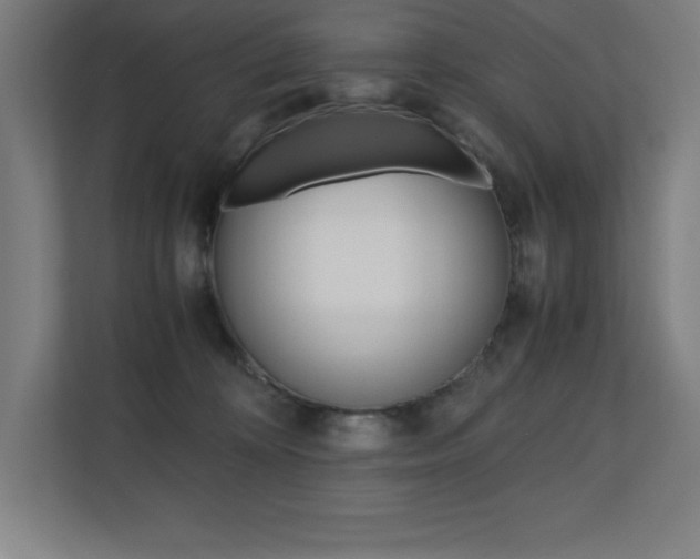 X0000110710324200906121101