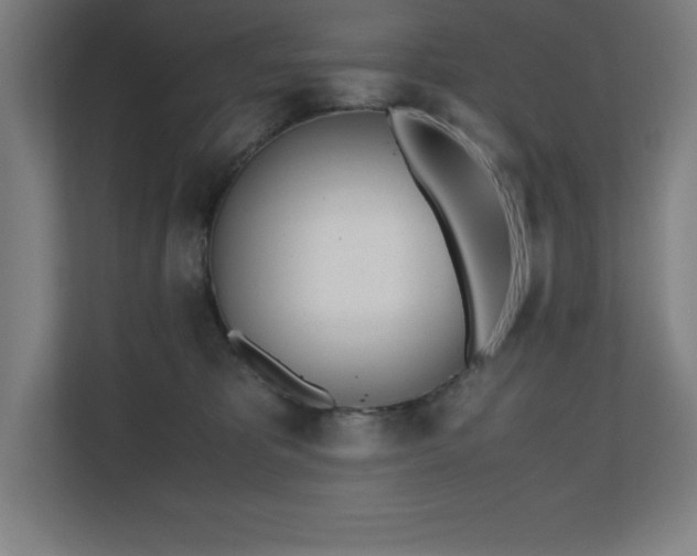 X0000110710325200906121101