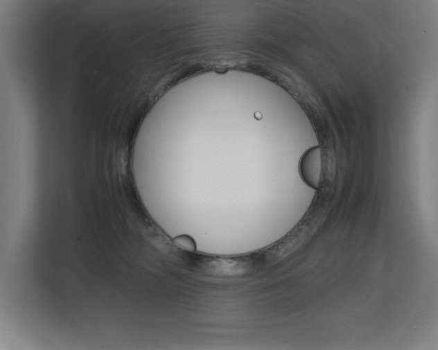 X0000110710326200906121101