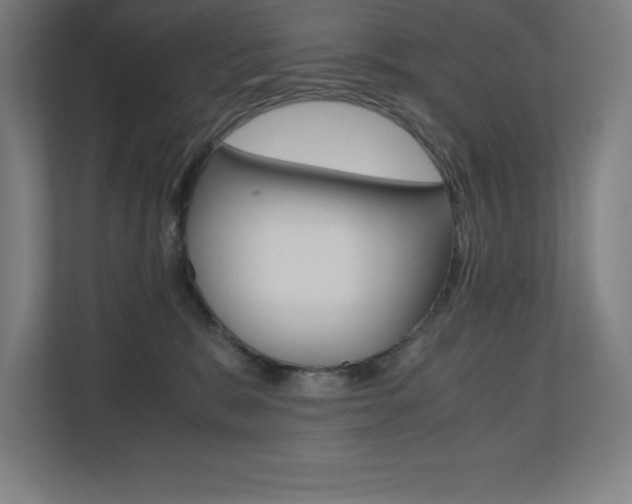 X0000110710327200906121101