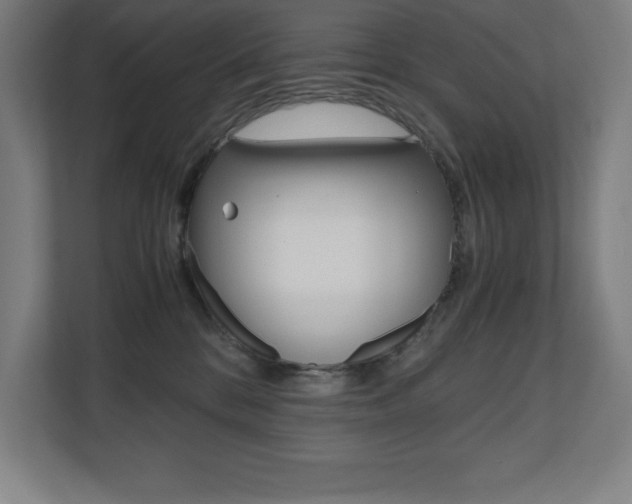 X0000110710328200906121101