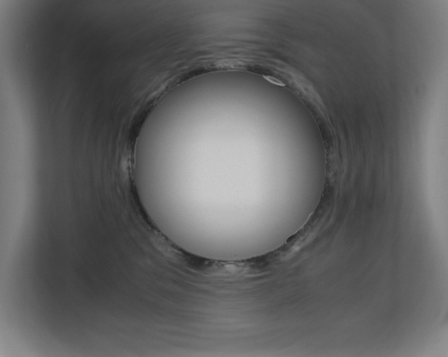 X0000110710329200906121101