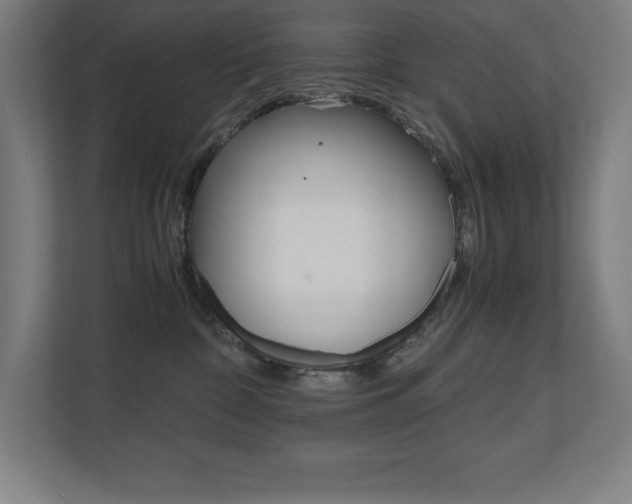 X0000110710332200906121101