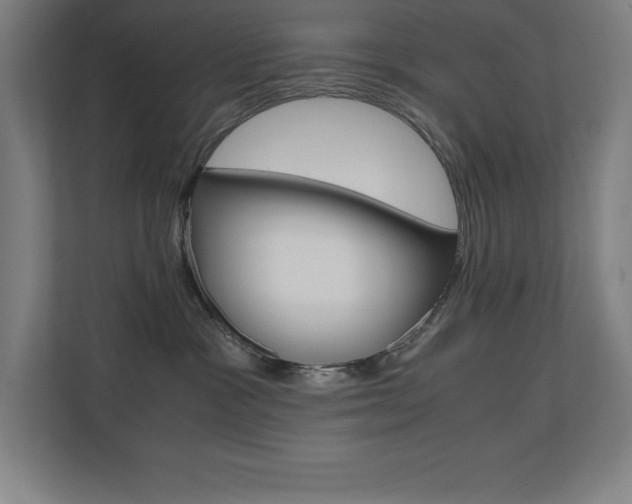 X0000110710333200906121101