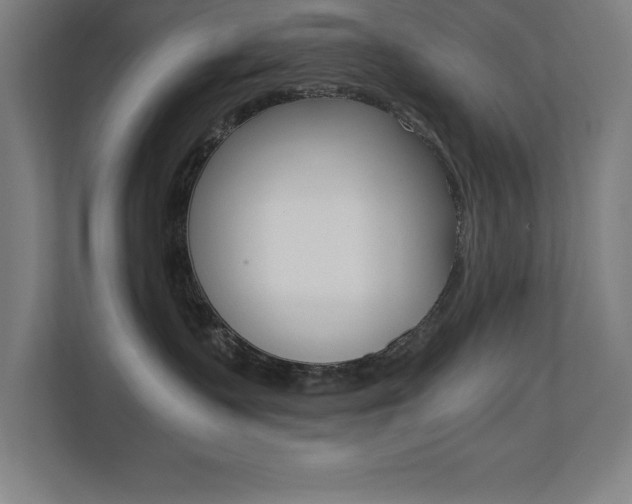 X0000110710335200906121101