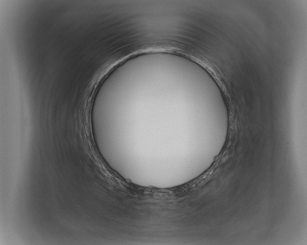 X0000110710337200906121100