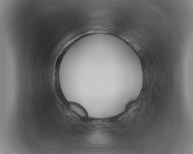 X0000110710338200906121100