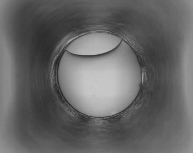 X0000110710339200906121100