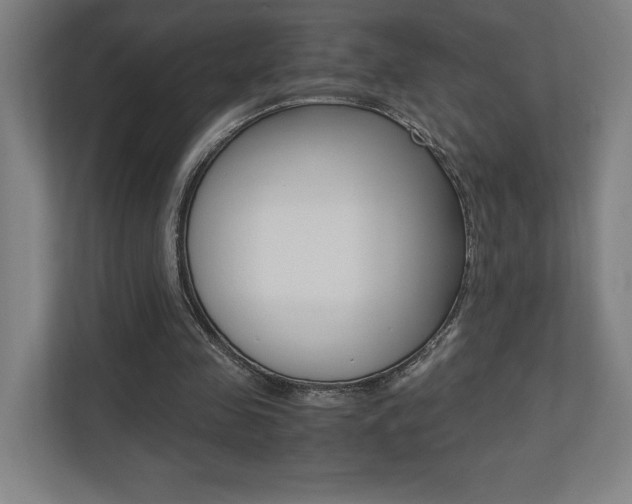 X0000110710341200906121100