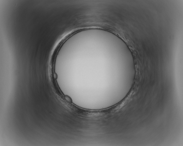 X0000110710342200906121100
