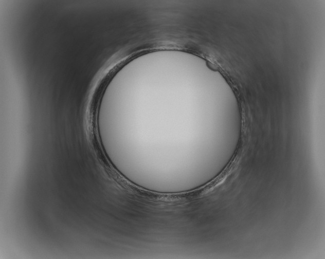 X0000110710343200906121100