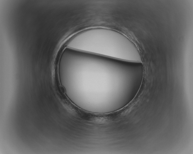 X0000110710344200906121100