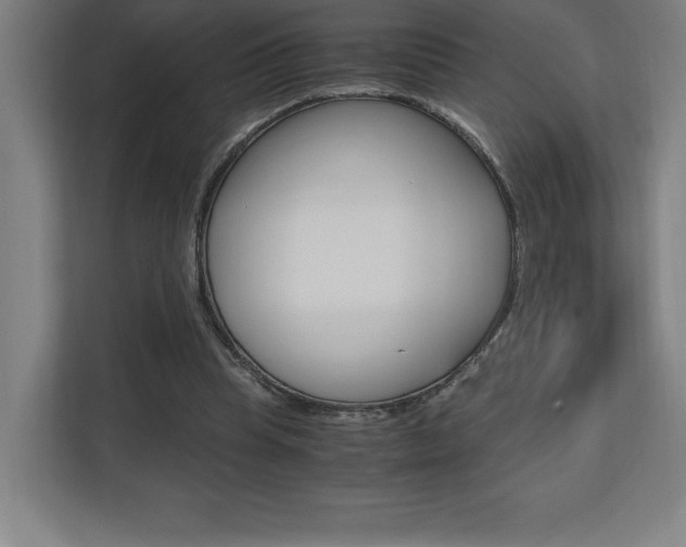 X0000110710345200906121100