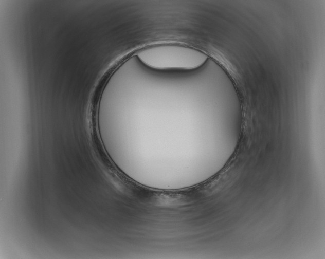 X0000110710346200906121100