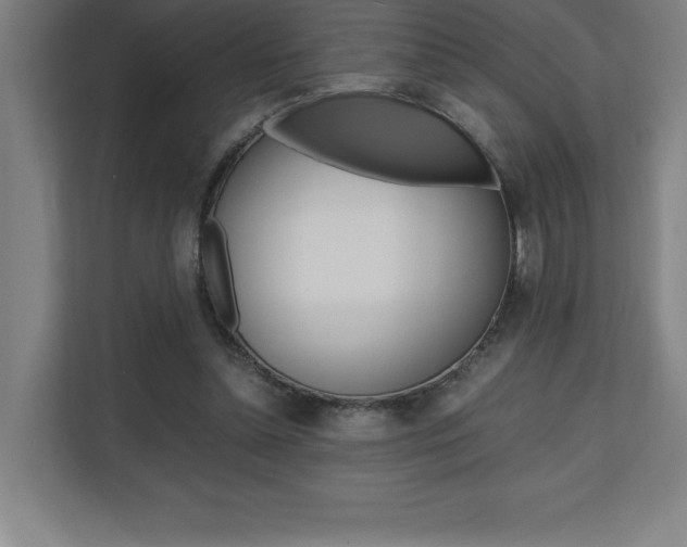 X0000110710348200906121100