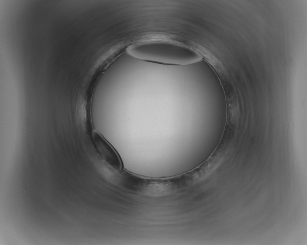 X0000110710350200906121100